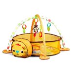 Salteluța de joacă cu bile Ecotoys 88969 Leu
