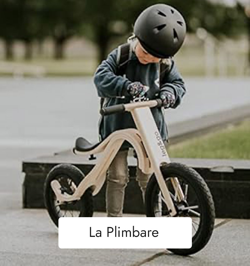 minimini-la-plimbare-banner minimini-la-plimbare-banner