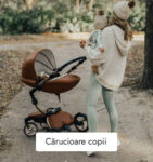 Carucioare copii MiniMini