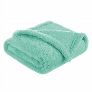 Păturică pufoasă pentru copii, 80x100 cm, din fleece, Bocioland, Mint