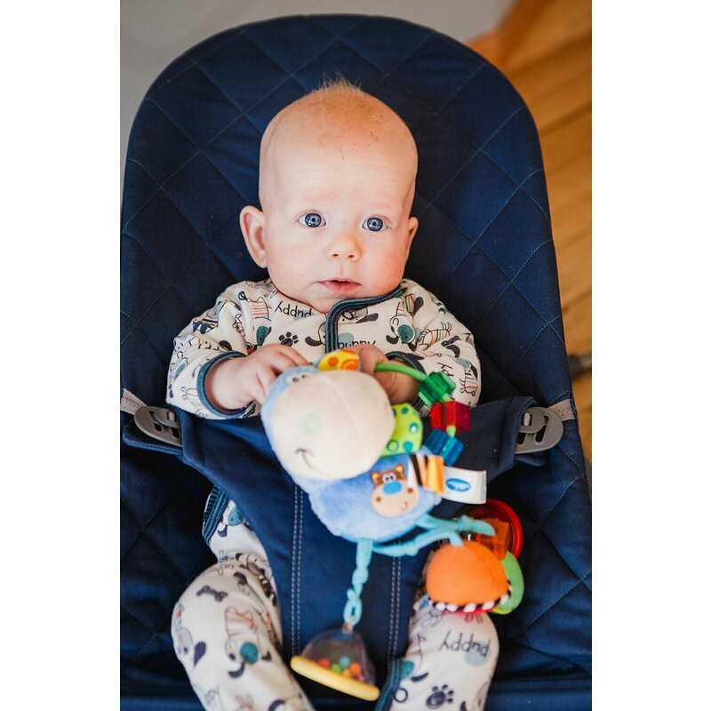 Jucărie zornăitoare și de dentiție, Playgro, Clip Clop Activity Rattle - Image 5