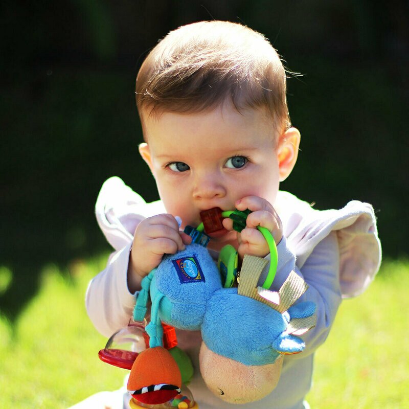 Jucărie zornăitoare și de dentiție, Playgro, Clip Clop Activity Rattle - Image 2